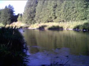 aug23056.jpg